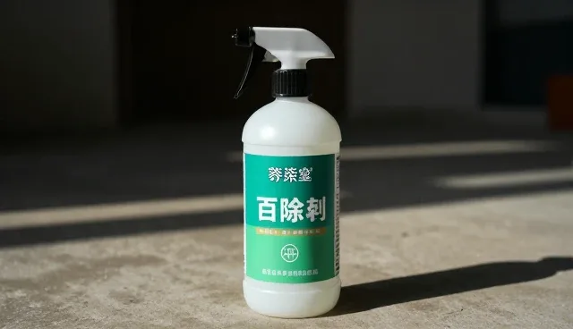 环保材料在家庭场景中的应用与技术挑战